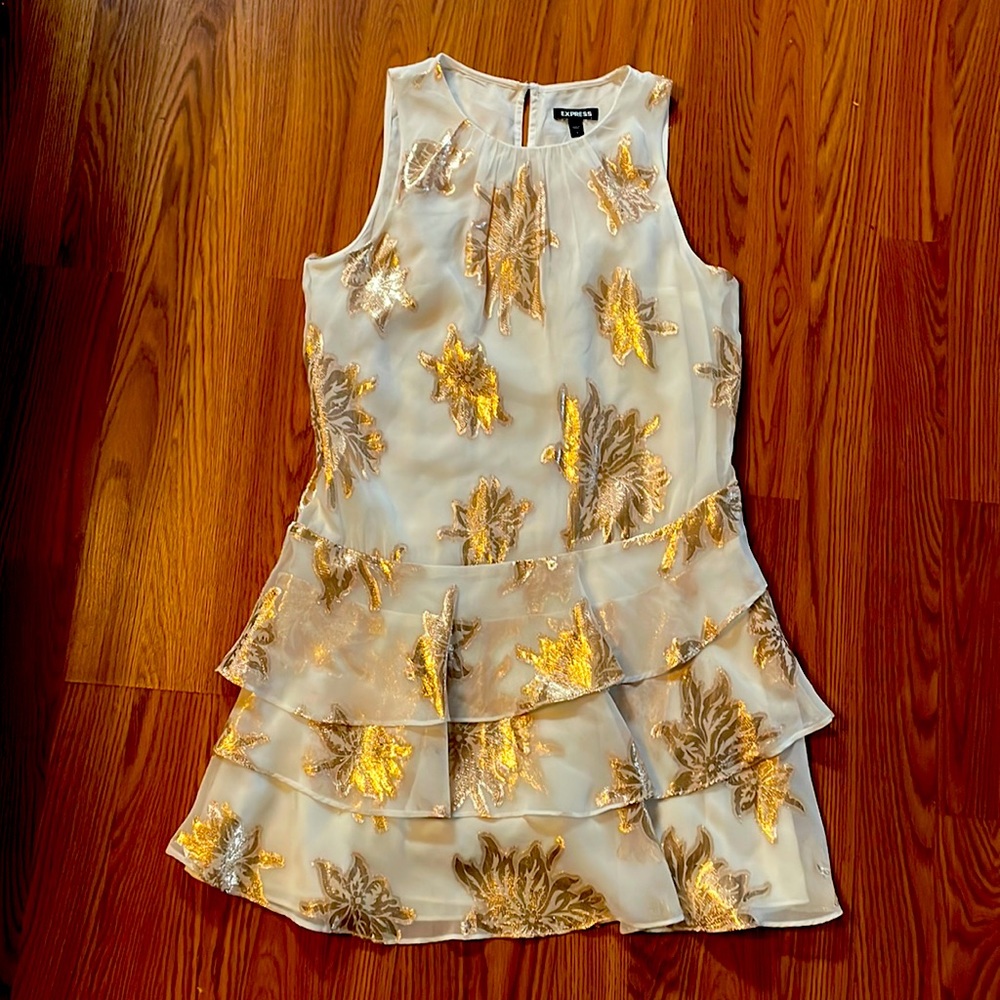 Express Drop Waist Dress